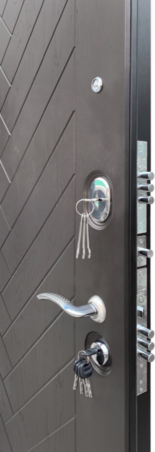 Входная металлическая дверь Regidoors Вектор Лофт X7