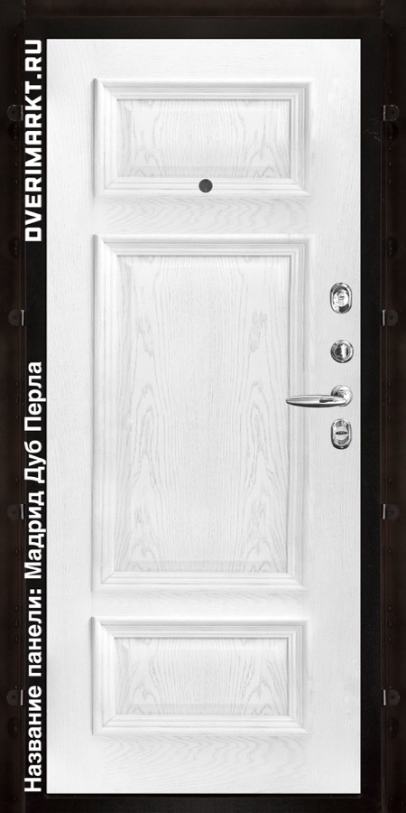 Входная металлическая дверь Regidoors Tesla Grey