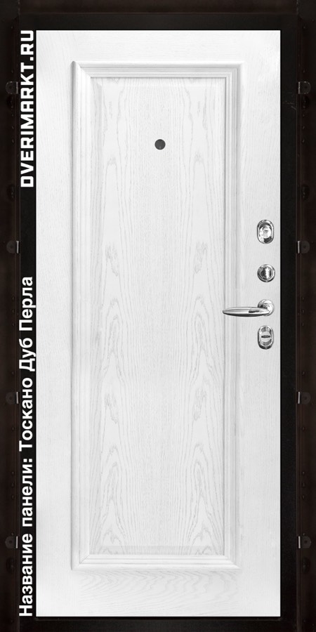 Входная металлическая дверь Regidoors Голиаф Термо