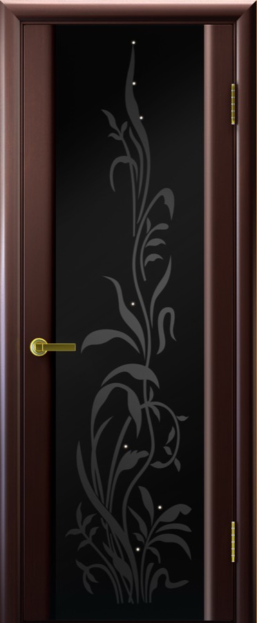 Ульяновские двери Regidoors Эксклюзив-2 (со стеклом черный триплекс)